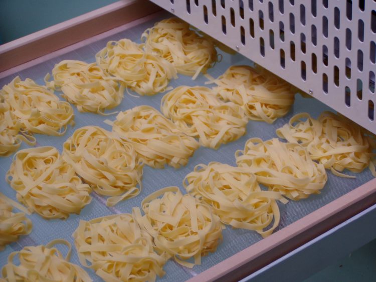 Nidos de tagliatelle producidos por Italgi NID540